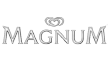 img-logo-magnum